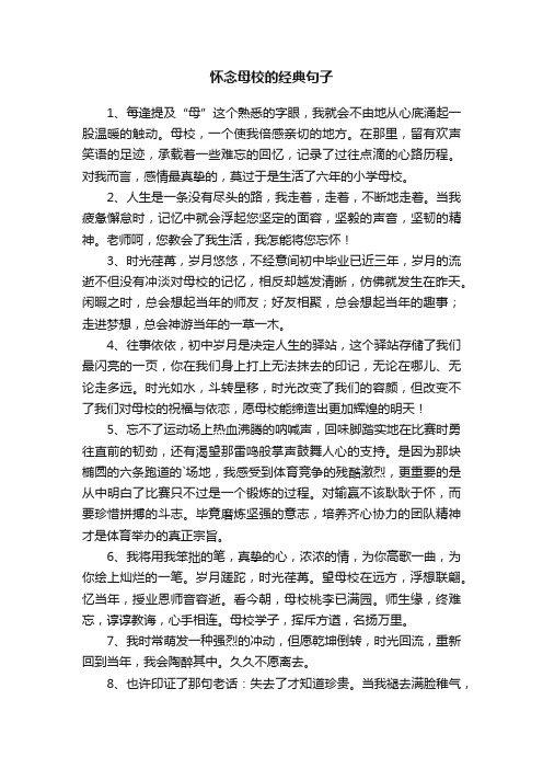 怀念母校的经典句子