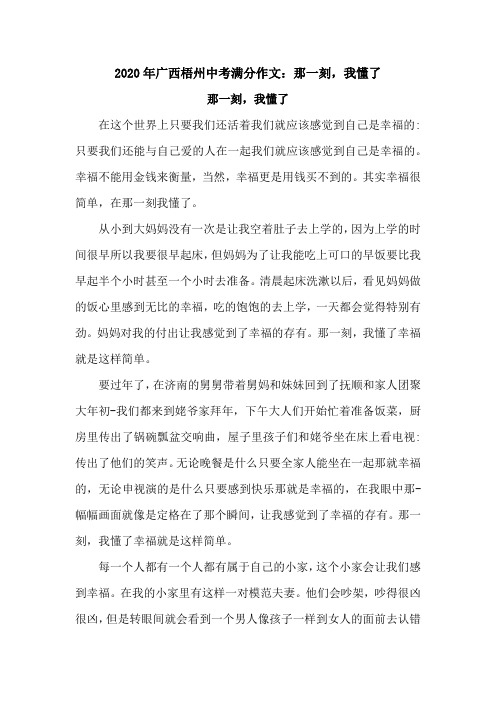 2020年广西梧州中考满分作文：那一刻,我懂了