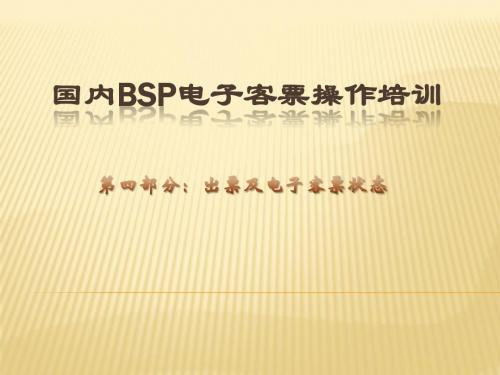 国内bsp电子客票培训教程4—出票及电子客票状态