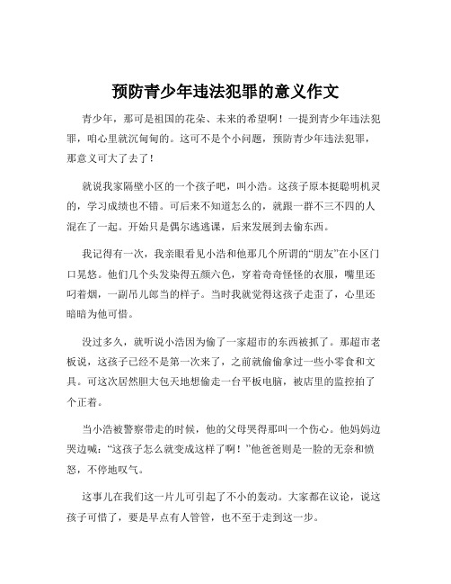 预防青少年违法犯罪的意义作文