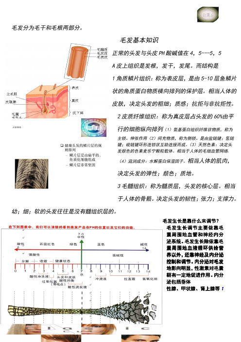 毛发资料1