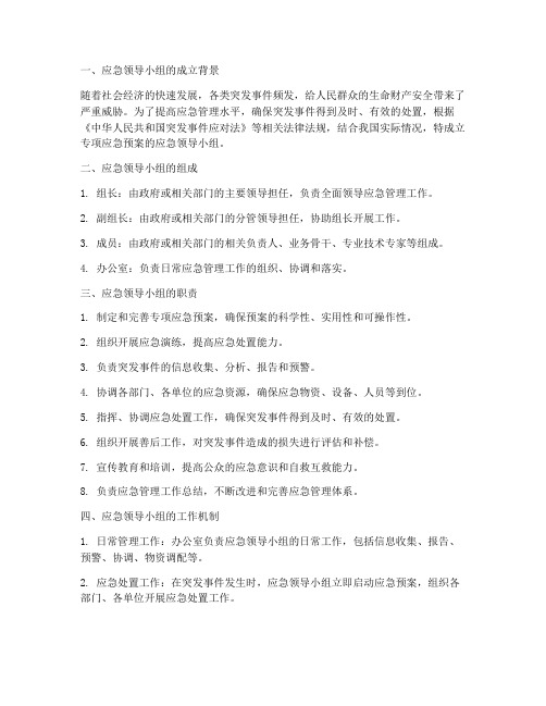 专项应急预案的应急领导小组