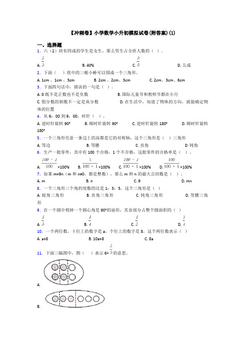 【冲刺卷】小学数学小升初模拟试卷(附答案)(1)