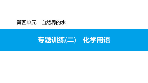 4.专题训练(二) 化学用语--秋人教版九年级上册化学课件(共20张PPT)