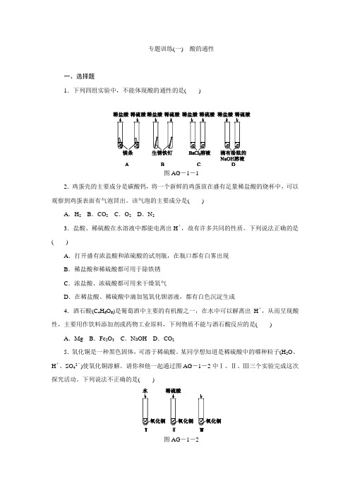 专题训练(一) 酸的通性(2021年初中科学浙教版)