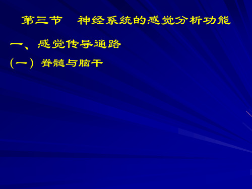 第三节神经系统的感觉分析功能