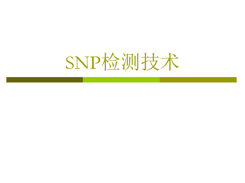 SNP检测技术