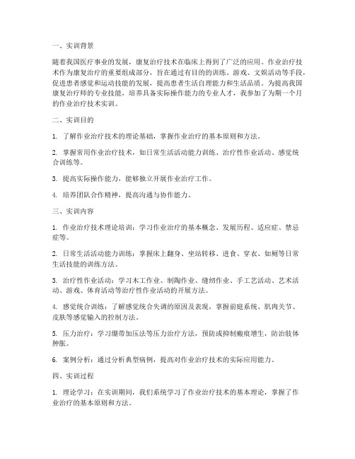 作业治疗技术实训总结报告