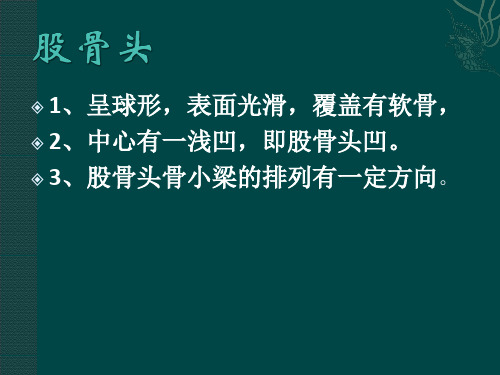 股骨头坏死的影像学诊断