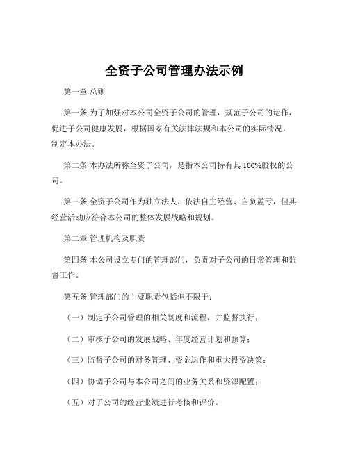 全资子公司管理办法示例