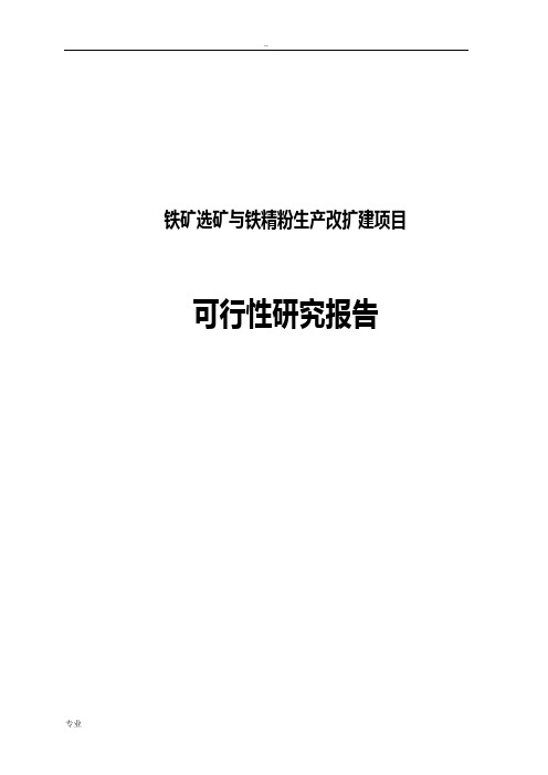 铁矿选矿铁精粉生产改扩建项目可行性研究报告