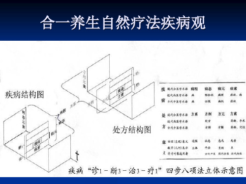 合一养生自然疗法