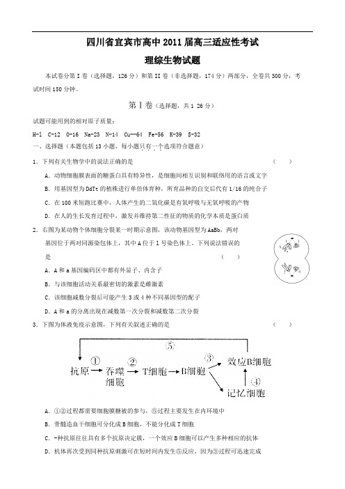 四川省宜宾市高中2011届高三适应性考试(理综生物)