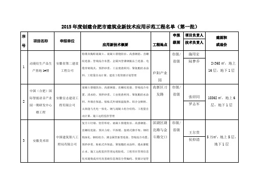 安徽省级建筑业新技术应用示范工程创建项目汇总表4页