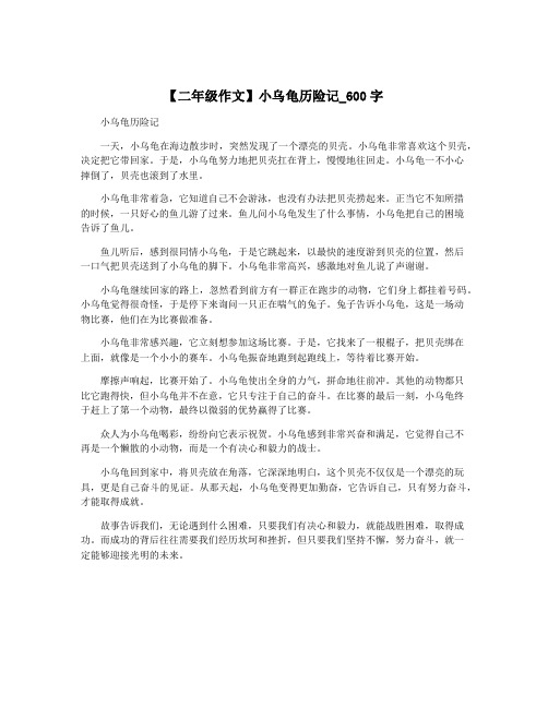 【二年级作文】小乌龟历险记_600字