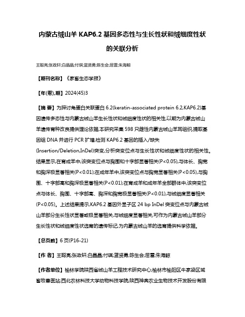 内蒙古绒山羊KAP6.2基因多态性与生长性状和绒细度性状的关联分析