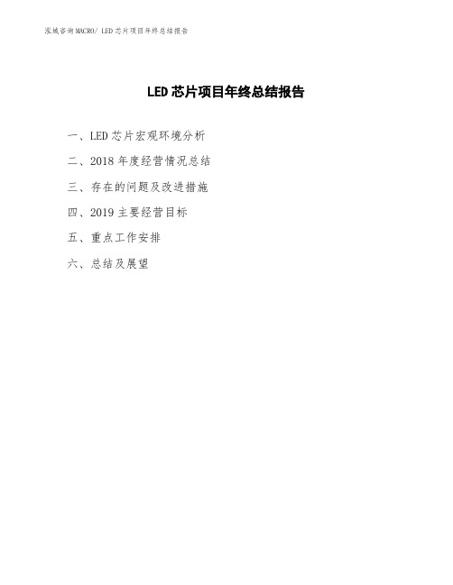 LED芯片项目年终总结报告