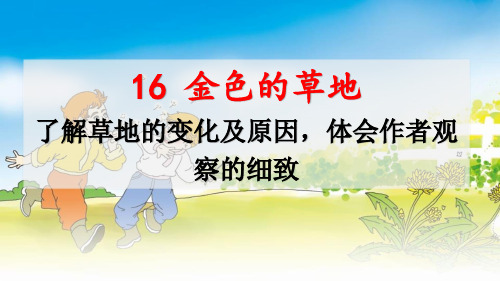 2023年五四制语文三年级上册名师讲重点优选课件16金色的草地(了解草地的变化及原因,体会作者观察的