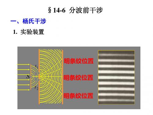 146分波前干涉-PPT精选文档