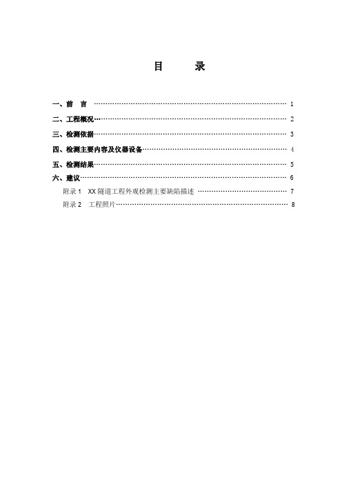 xxx隧道外观检测报告-交工