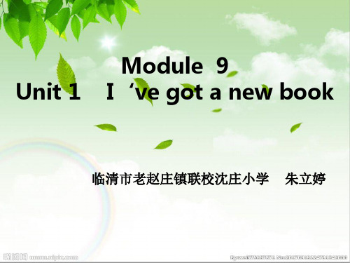 三年级下册英语课件-Module 9 Unit 1 I‘ve got a new book  外研版