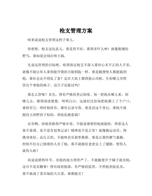 枪支管理方案