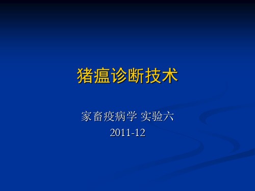 猪瘟传染病实验猪瘟诊断技术