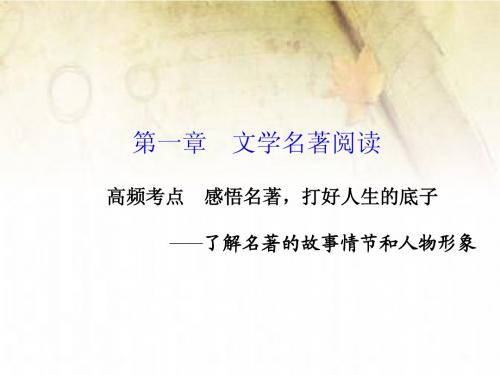 文学名著阅读 第一章 高频考点
