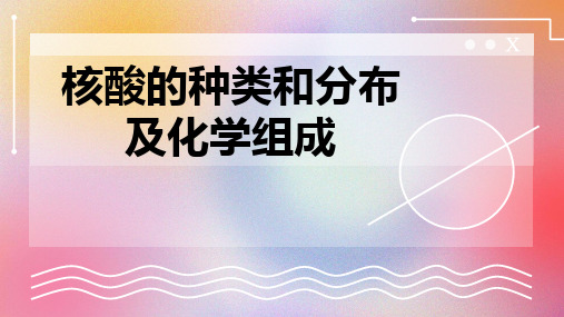 核酸的种类和分布及化学组成