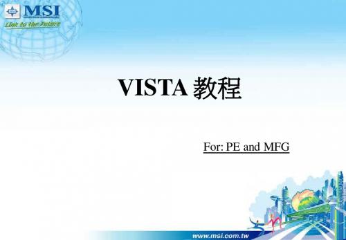 Vista教程