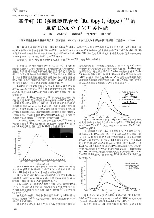 基于钌(Ⅱ)多吡啶配合物[Ru(bpy)2(dppz)]2+的单链DNA分子光开关性能