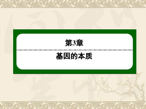 【红对勾 45分钟作业与单元评估】高中生物 3-2 DNA分子的结构课件 新人教版必修2