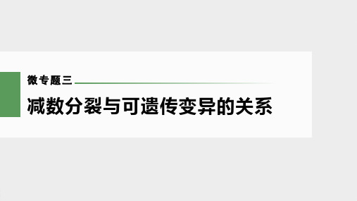 第4单元 微专题三 减数分裂与可遗传变异的关系