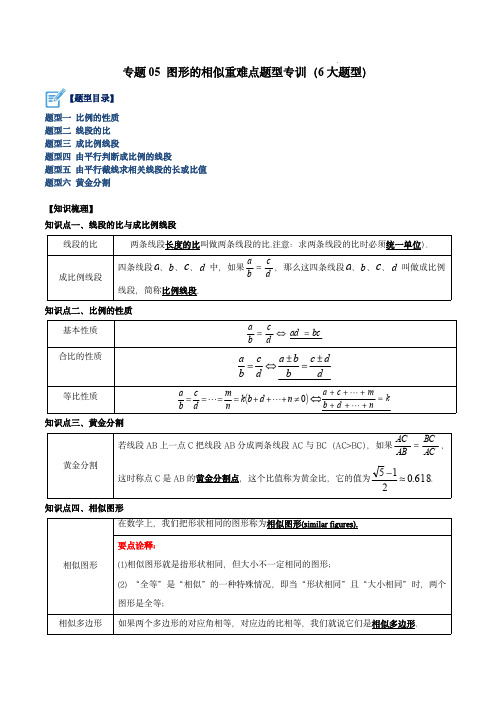 专题05 图形的相似重难点题型专训(6大题型)(解析版)