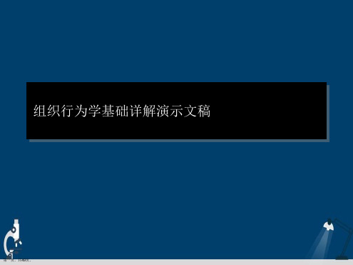 组织行为学基础详解演示文稿