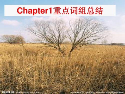 Chapter1 重点词汇