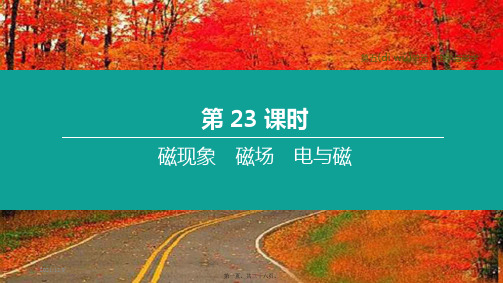 中考物理复习方案 第五单元 电学与磁学 第23课时 磁现象 磁场 电与磁课件