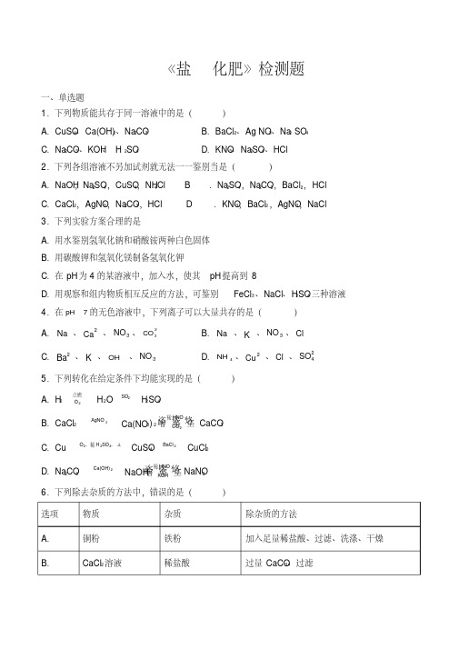 人教版初中化学九年级下册第十一单元《盐化肥》检测题(含答案)