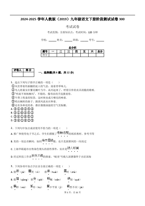 2024-2025学年人教版(2019)九年级语文下册阶段测试试卷300