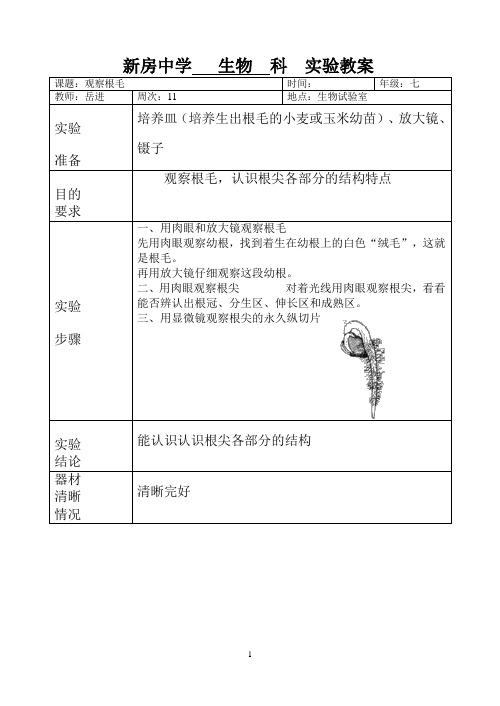 七年级生物实验教案008观察根毛--分组