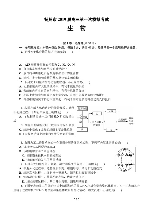 江苏省扬州市2019届高三第一次模拟考试 生物(含答案)