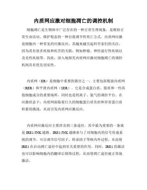 内质网应激对细胞凋亡的调控机制