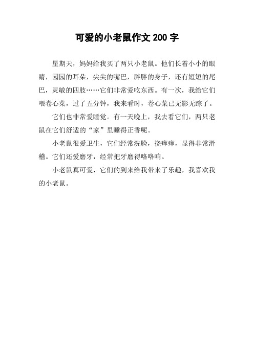 可爱的小老鼠作文200字