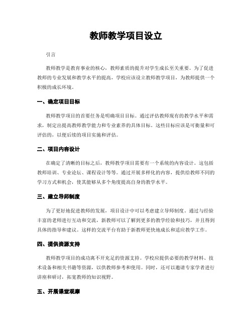 教师教学项目设立