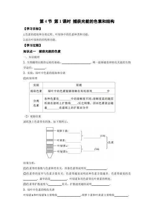 学案1：5.4.1 捕获光能的色素和结构