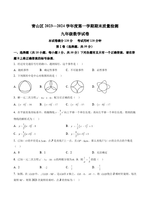 湖北省武汉市青山区2024届九年级上学期期末考试数学试卷(含答案)