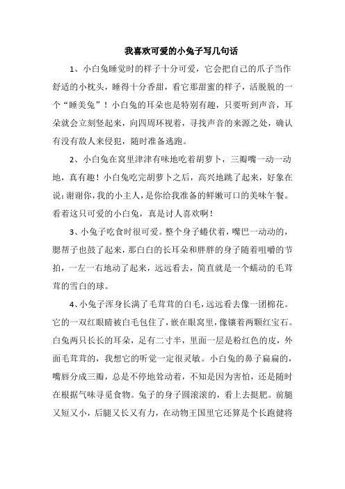 我喜欢可爱的小兔子写几句话