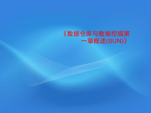 《数据仓库与数据挖掘第一章概述(SUN)》