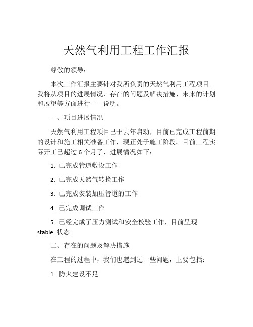 天然气利用工程工作汇报