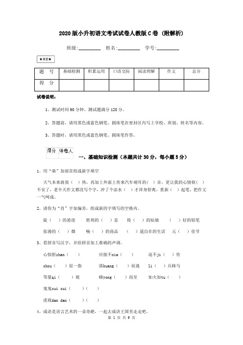 2020版小升初语文考试试卷人教版C卷 (附解析)